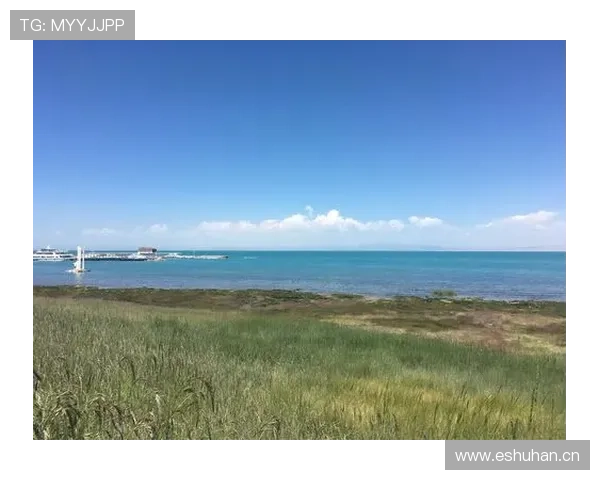 《探秘体育精神与竞技魅力:全球顶级运动员背后的故事与奋斗历程》 - 副本 - 副本 (2) 《探秘体育精神与竞技魅力:全球顶级运动员背后的故事与奋斗历程》 - 副本 - 副本 (2)