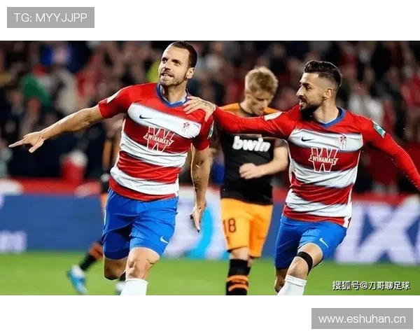 全天高清足球赛事直播导航平台，实时更新各大联赛赛程信息 - 副本 (2)